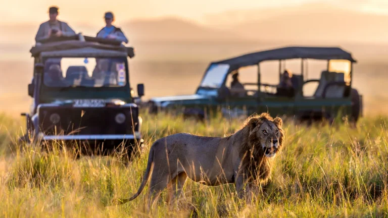 compare luxury tour operators