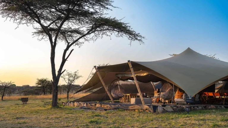 Luxury Safari Experiences USA: Definitive Field & Outfitting Guide