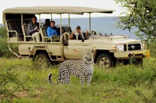 Luxury Safari Trip Plans: Complete Itinerary & Logistics Guide