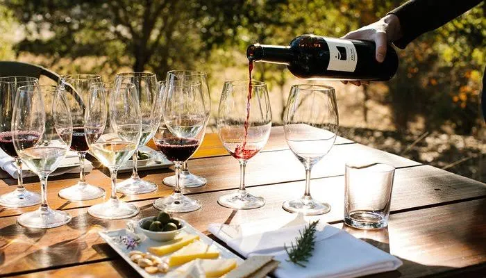 Luxury Wine Tasting Destinations USA: Comprehensive Region & Estate Analysis
